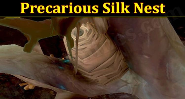 Precarious Silk Nest