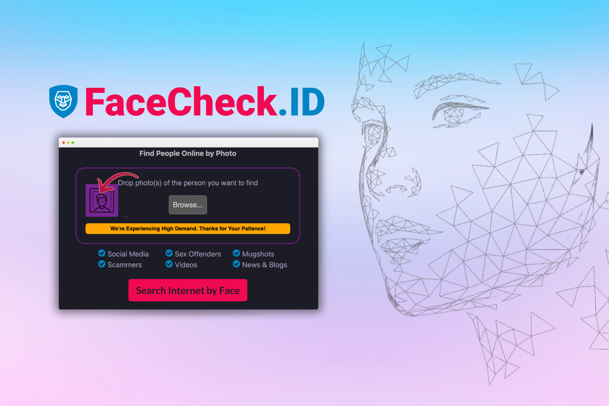 Facecheck.id in Action